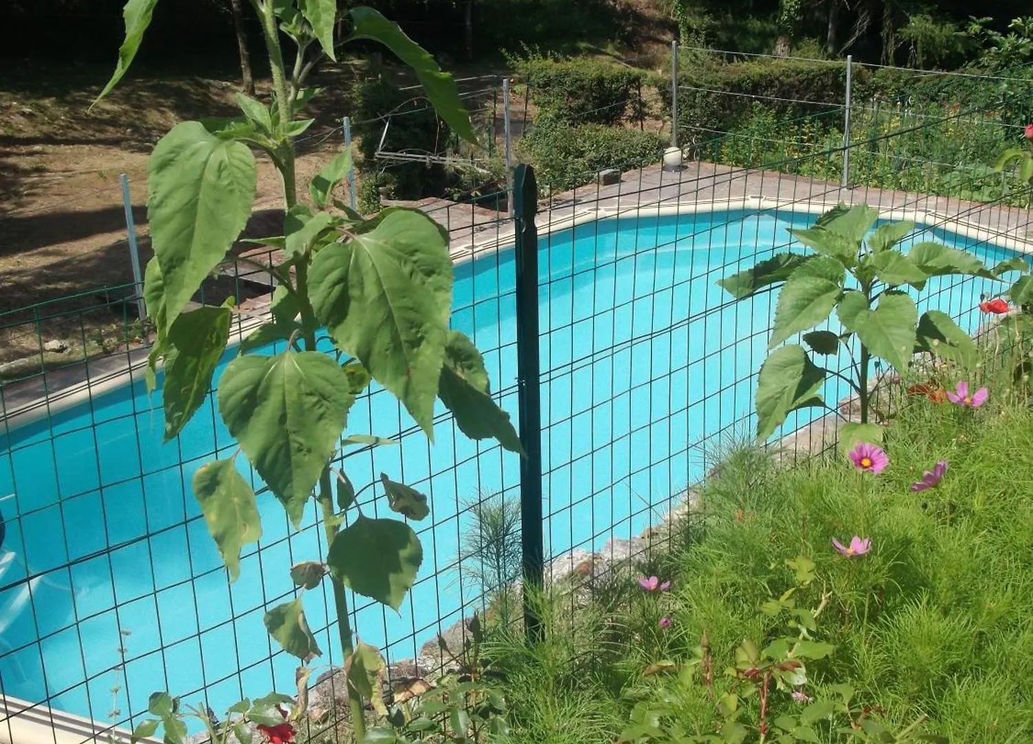 Holiday home La Capanna Della Dudda Villa Gaiole in Chianti