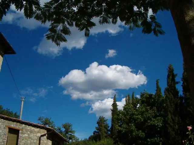 La Capanna Della Dudda Villa Gaiole in Chianti 0*,